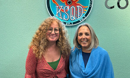 Local Author Molly Salans about her debut novel A Break In The Fog