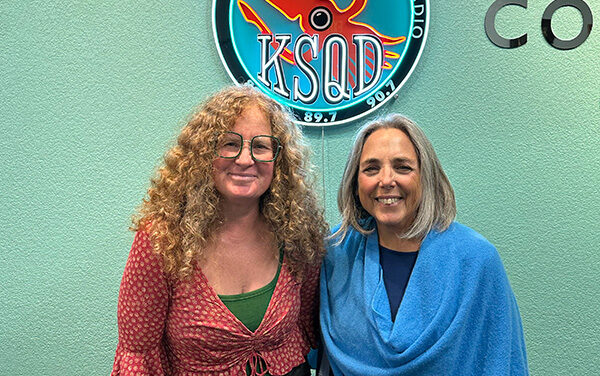 Local Author Molly Salans about her debut novel A Break In The Fog