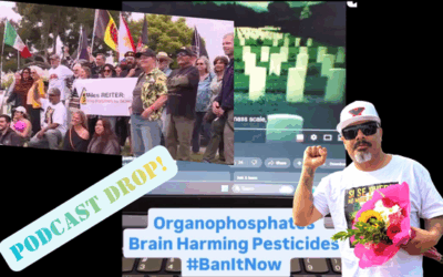 Omar Dieguez: Reflections After A Hunger Strike Against Pesticide Use