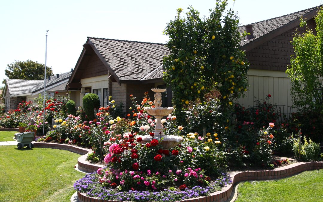 Landscape Designers: In The Garden