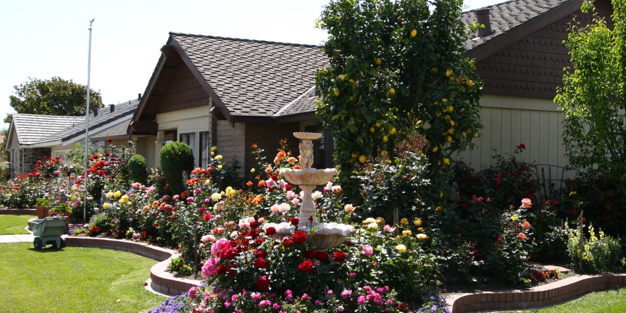 Landscape Designers: In The Garden