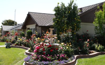 Landscape Designers: In The Garden