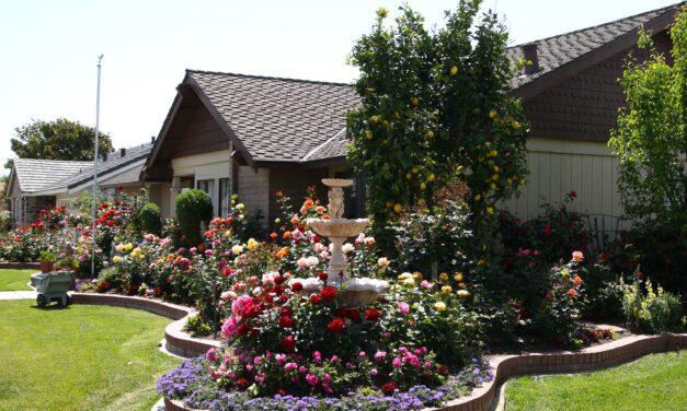 Landscape Designers: In The Garden