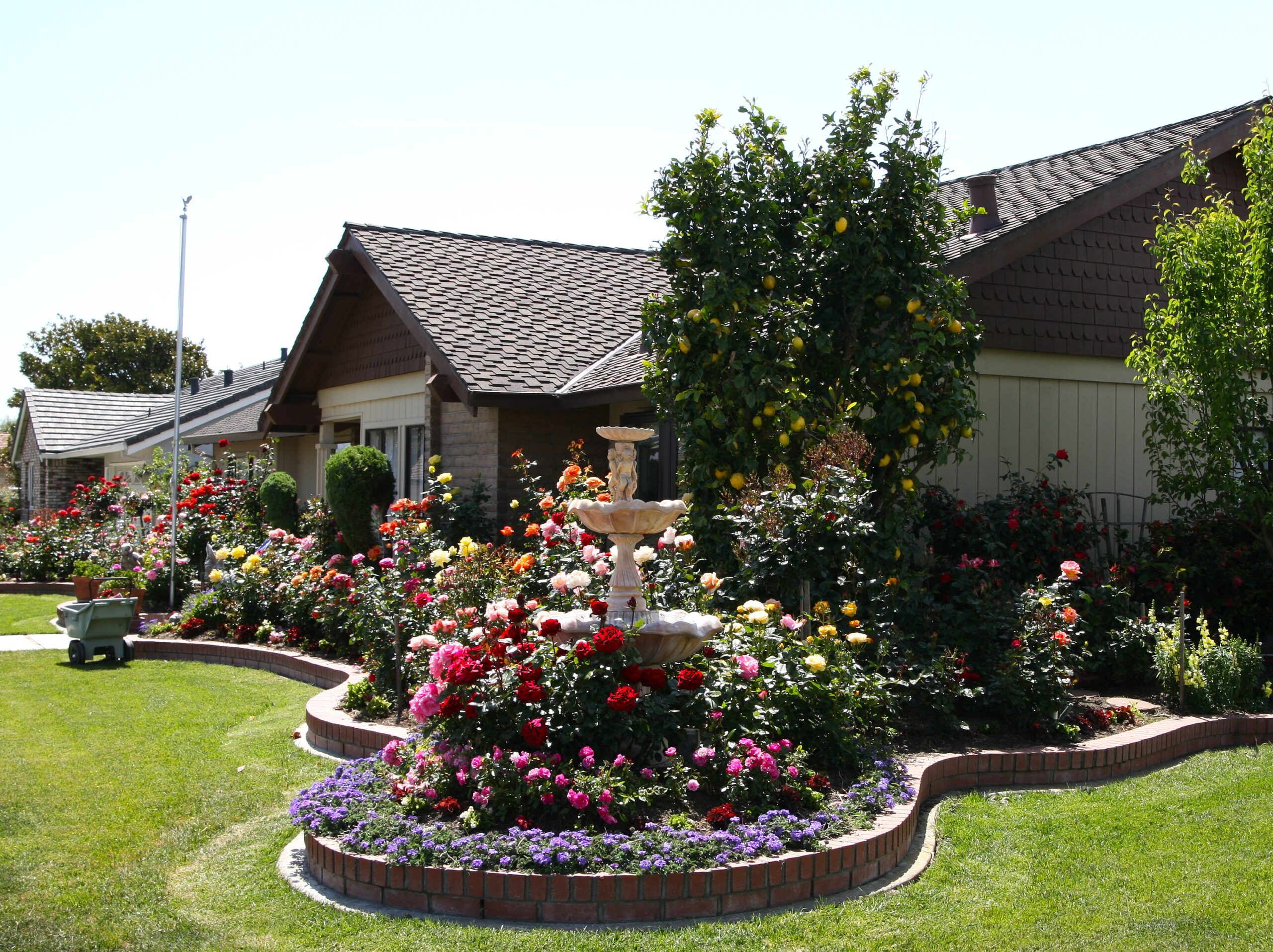 Landscape Designers: In The Garden