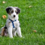 FirstPersonSingular: Gretchen Gudenkauf - Dogmatic Psychiatry