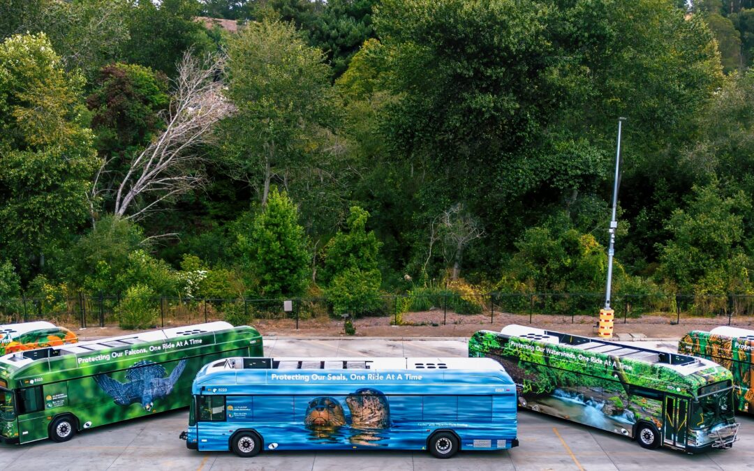 Can you make it a week without driving?