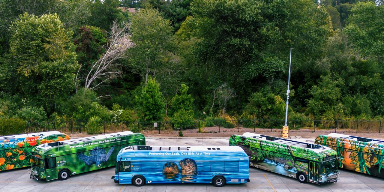 Can you make it a week without driving?