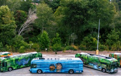 Can you make it a week without driving?