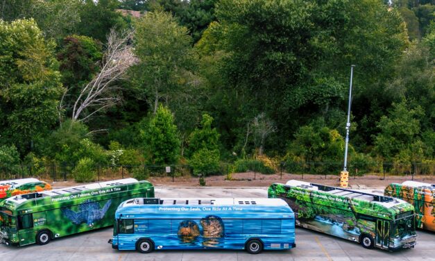 Can you make it a week without driving?