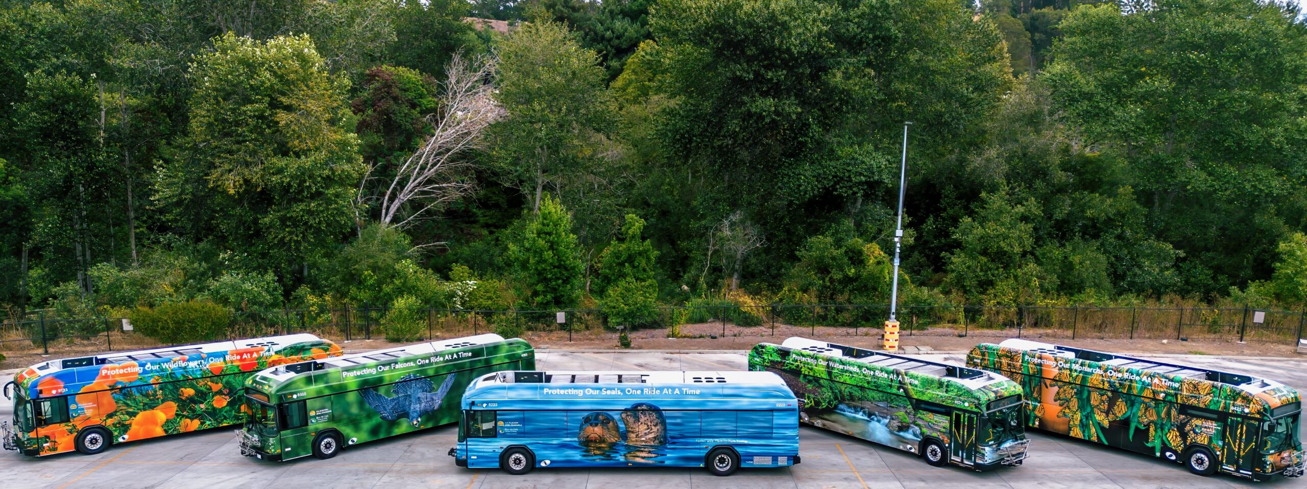 Can you make it a week without driving?