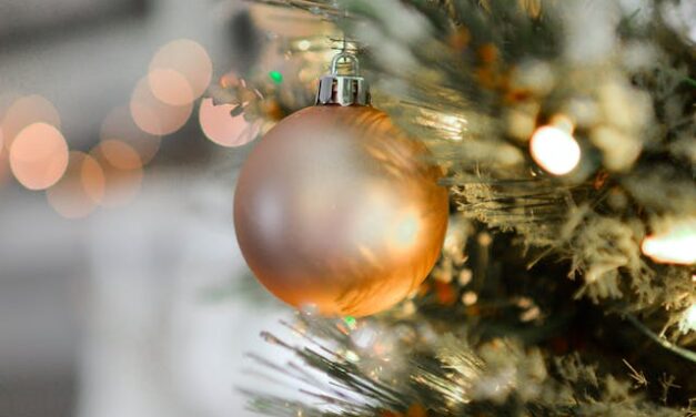 FirstPersonSingular: Meade Fischer – Holiday