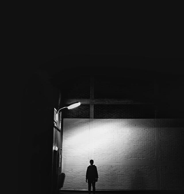 FirstpersonSingular: Sigrid McLaughlin – Stranger