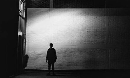 FirstpersonSingular: Sigrid McLaughlin – Stranger