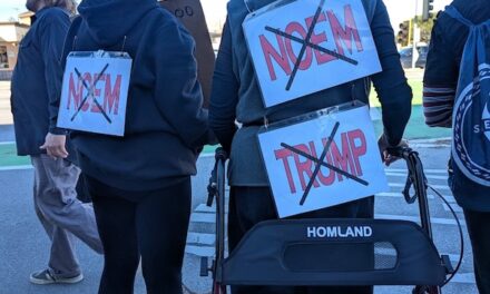 Locals speak up at ICE Out For Good rally in Santa Cruz