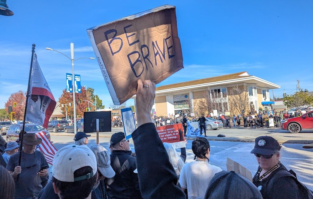 Indivisible organizers encouraged by large crowd at Get ICE Out for Good Rally