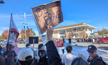 Indivisible organizers encouraged by large crowd at Get ICE Out for Good Rally