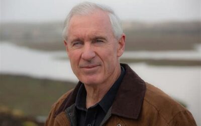 Living with Sharks in the Monterey Bay