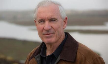 Living with Sharks in the Monterey Bay