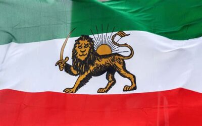 Local Iranians Respond to Protest Crackdown