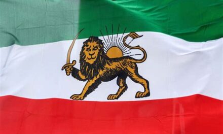 Local Iranians Respond to Protest Crackdown