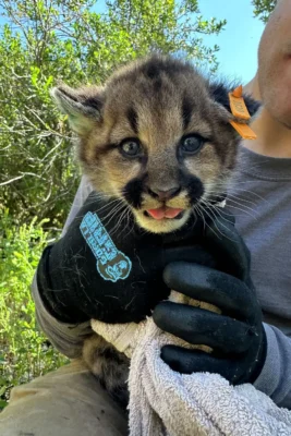 What A Week “The Critics Agree” Edition, for January 31st, with guest host Christine Barrington.